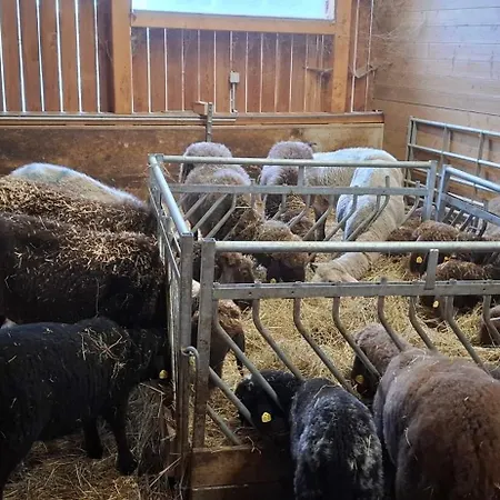 Mittergasteggut Apartmán *