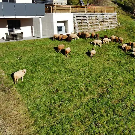 Mittergasteggut Apartment