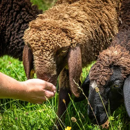 Apartmán Mittergasteggut *