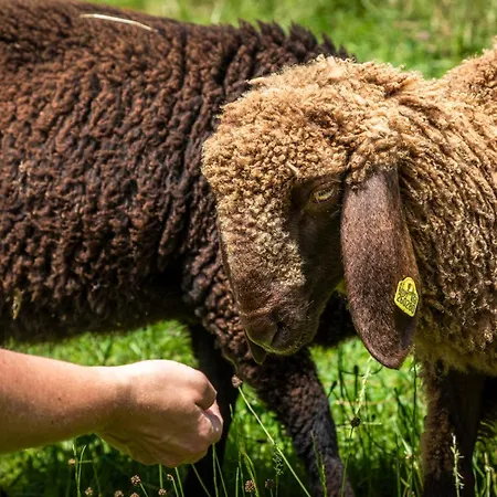 Mittergasteggut * Pfarrwerfen