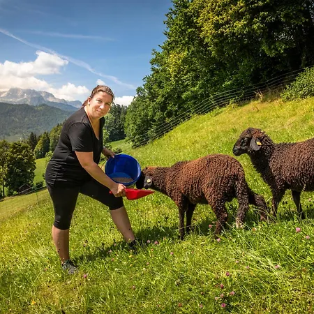 Apartment Mittergasteggut Pfarrwerfen