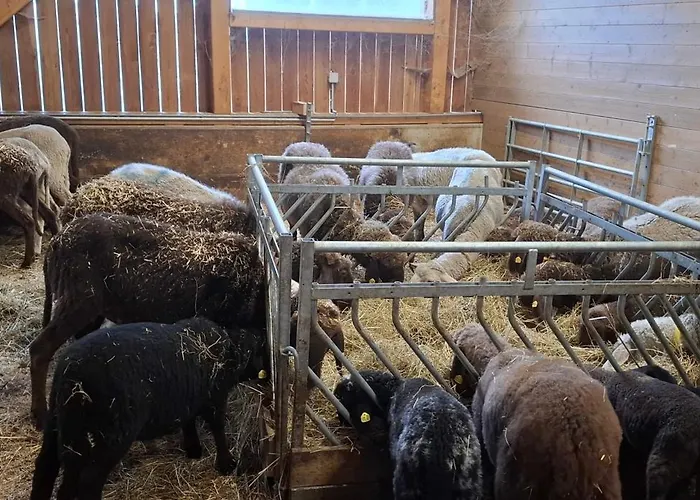 Mittergasteggut 公寓 *