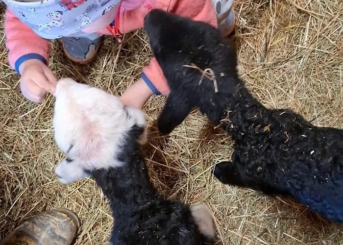 Mittergasteggut * 普法尔韦尔芬