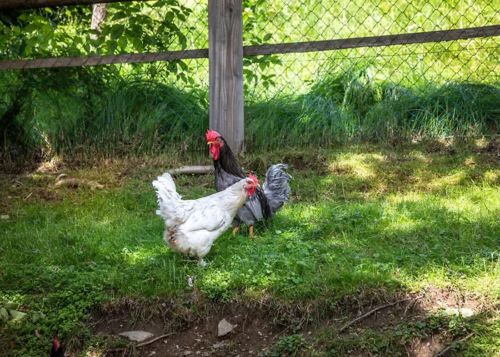 公寓 Mittergasteggut