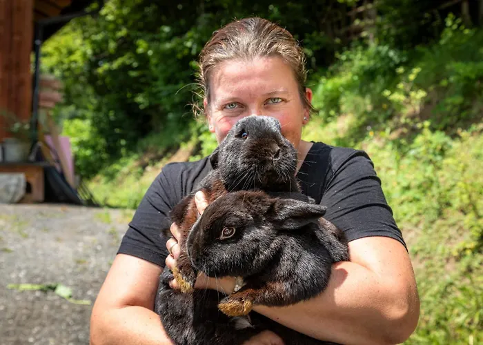 公寓 Mittergasteggut 普法尔韦尔芬