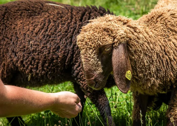 Mittergasteggut * 普法尔韦尔芬