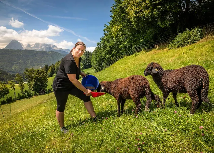 公寓 Mittergasteggut 普法尔韦尔芬